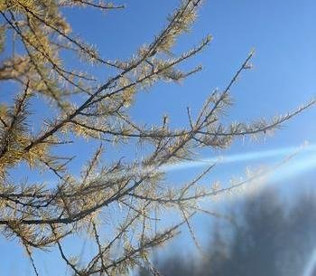 Яркая Осень Байкала