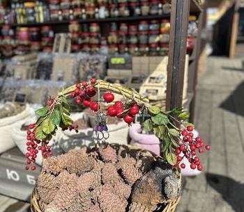 Экскурсия на Байкал, поселок Листвянка